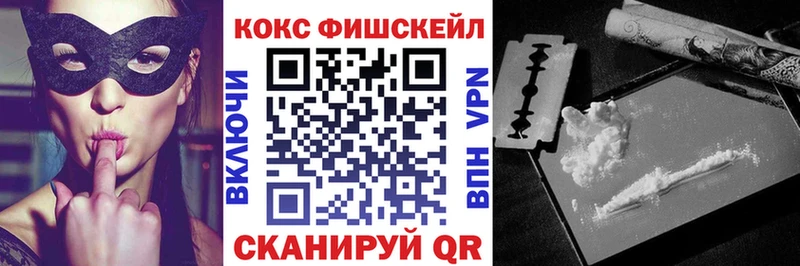 Купить  Змеиногорск  КОКАИН Fish Scale 