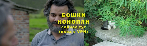 шишки Гусев