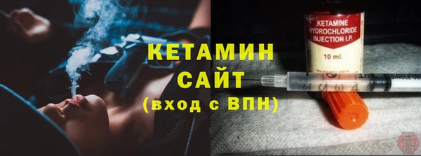 шишки Гусев