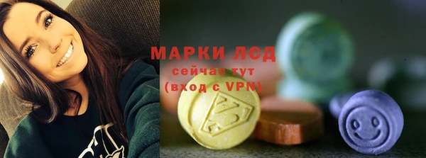 шишки Гусев