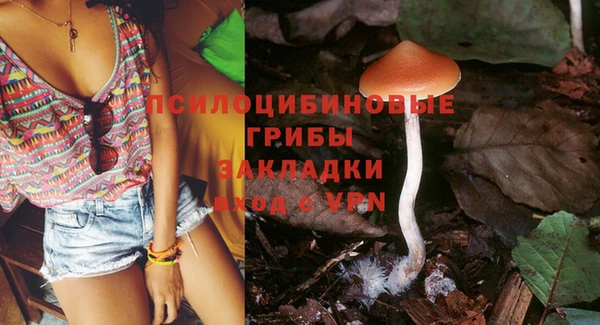 шишки Гусев