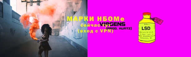 шишки Гусев