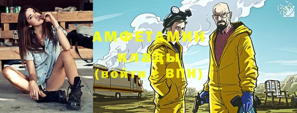 шишки Гусев