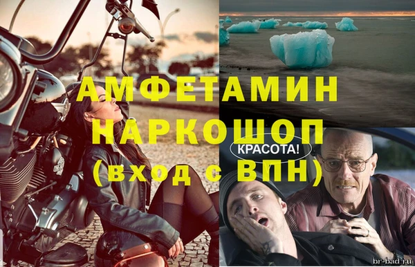 шишки Гусев