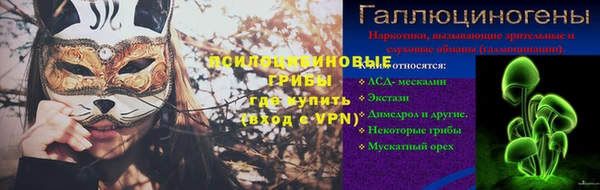 шишки Гусев