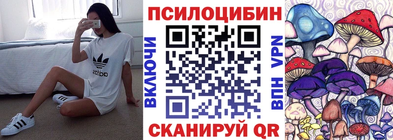 Галлюциногенные грибы мухоморы  Купить где  Змеиногорск 