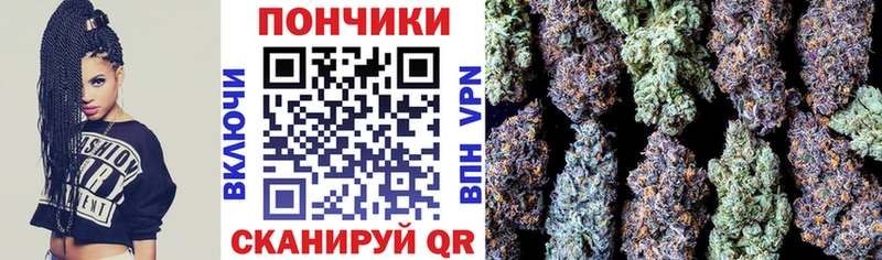 Купить где  Змеиногорск  МАРИХУАНА SATIVA & INDICA 
